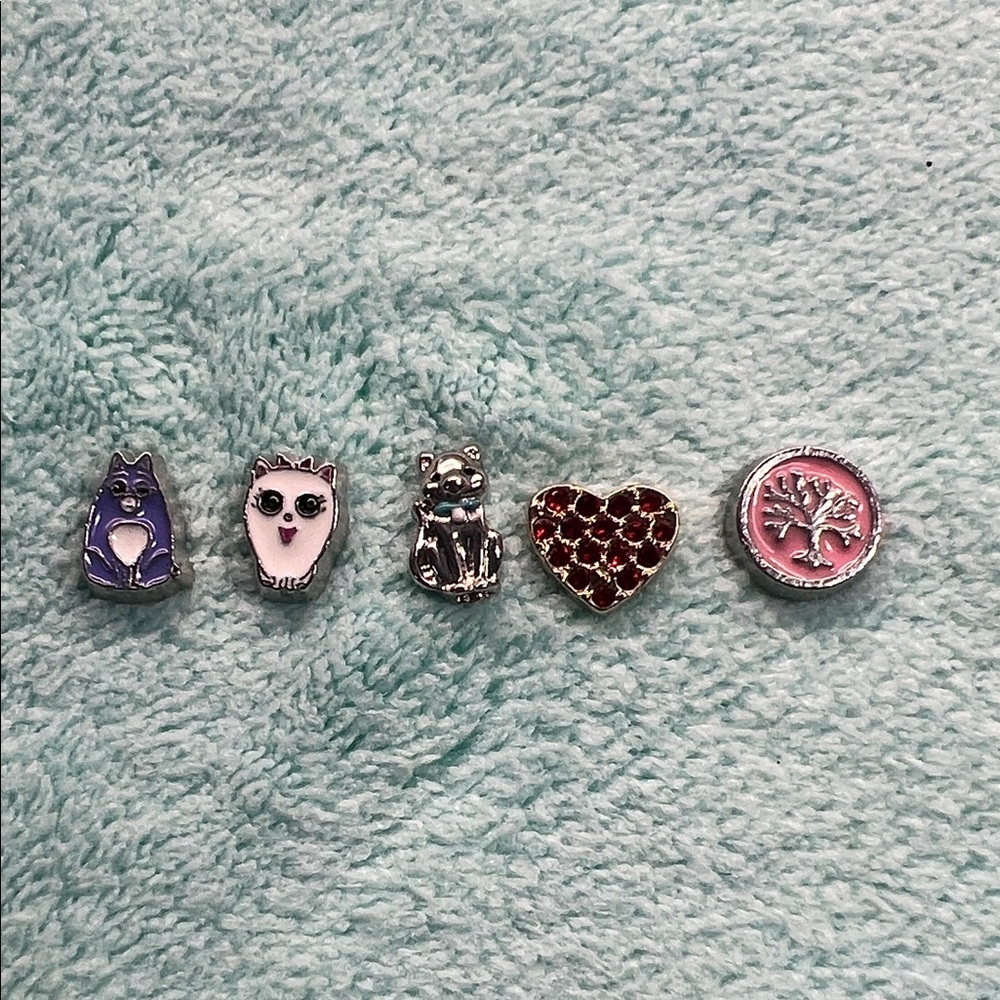 Floating Locket Charms